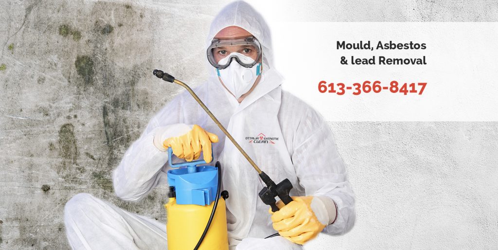 mold removal services, Ontario
