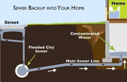 sewer backup Ontario